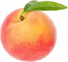 Pfirsichbaum 100-125cm Prunus persica Zwergpfirsich Produktbild-Vorschau 1