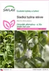 SAFLAX - Sladká bylina stévie - Stevia rebaudiana - 100 Náhled obrázku produktu 1