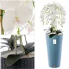 Orchidea artificiale a cascata bouquet bianco in vaso blu H Anteprima dell’immagine prodotto 2