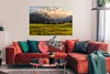 MuchoWow® Poster Ein Sonnenuntergang im Frühling im Produktbild-Vorschau 2