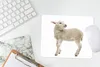 MuchoWow® Mauspad Mousepad Schaf - Wolle - Lamm 23x19 cm - Produktbild-Vorschau 5