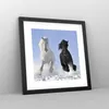 Gerahmtes Poster - Schwarzer Rahmen - Tiere Schönheit Produktbild-Vorschau 8