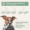 AniForte Leinöl für Hunde & Pferde 1 Liter - Natives Öl Produktbild-Vorschau 5