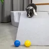 A small rabbit is on a ramp, with two balls in front of it. Anteprima dell’immagine prodotto