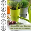 4er Set Kräutertopf mit Bewässerungssystem Kräutertopf Produktbild-Vorschau 4
