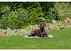 TRIXIE Kühlmatte Soft für Hunde - grau - 90 × 60 cm Produktbild-Vorschau 3