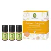 Voňavé citrusové šťastie - darčeková súprava Náhľad obrázku produktu 2