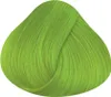 La Riché Directions Semi-Permanent Conditioning Hair Colour Produktbild-Vorschau 4