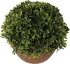Sztuczna Roślina Bukszpan w Ceramicznej Doniczce 20 cm Podgląd zdjęcia produktu 2