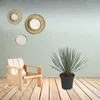 Trendyplants - Yucca Rostrata - Winterhart - Gartenpflanze Produktbild-Vorschau 2