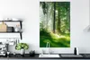 MuchoWow® Poster Natur - Bäume - Wald - Grün - Sonne - Gras Produktbild-Vorschau 3