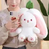 Lapin à cacher, Peluche, 25CM Lapin farci avec carottes et Voir les images du produit 4