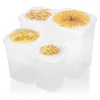 A set of four clear plastic food storage containers with lids, each decorated with a different pasta design. Produktbild-Vorschau