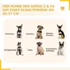 PawHut – výběh pro štěňata, ohrada, venkovní výběh, plot Náhled obrázku produktu 6