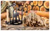 PARKSIDE® Holzspalter Produktbild-Vorschau 4