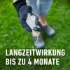 COMPO Rasen Langzeit-Dünger Perfect für 60 m² - 1,5 kg Produktbild-Vorschau 9