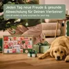 AniForte Premium Adventskalender für Hunde 2026 - Produktbild-Vorschau 4