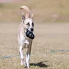 KONG Extreme, Hund, Schwarz, Gummi, Kauend, Abholen, Produktbild-Vorschau 18