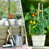 A split image showing potted plants and gardening tools on one side, and a tomato plant in a pot on the other. Produktbild-Vorschau