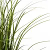Atmosphera Jj3048 Blumentopf Golden  Golden One Size Produktbild-Vorschau 2