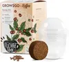GROW2GO Dein eigener Zwergkaffee Strauch zum selber Produktbild-Vorschau 1