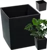 A large black square planter is shown in the foreground, with a smaller black square planter and a Monstera plant in the background. Produktbild-Vorschau