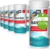 12x 1 kg BAYZID® Chlorgranulat für Pools Produktbild-Vorschau 1
