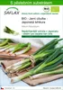 SAFLAX - BIO - Jarní cibulka - Japonská Ishikura - Allium Náhled obrázku produktu 1