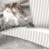 Duvet cover Pure 135x200 + 1* 80x80 cm - kitten cats Produktbild-Vorschau 9