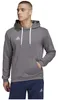 ADIDAS Herren Ent22 Felpa con cappuccio, Tegrfo HB0578 - L Anteprima dell’immagine prodotto 12