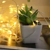 A small potted succulent plant is next to a string of warm white LED lights. Produktbild-Vorschau