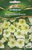 Quedlinburger Saatgut - Kapuzinerkresse Milk Maid - Samen - Produktbild-Vorschau 3