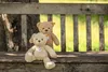 Steiff Teddybaer Mila 30 vaniglia 113970 Anteprima dell’immagine prodotto 4