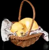 Hunde Figur schlafend im Körbchen - Blonder Golden Produktbild-Vorschau 1