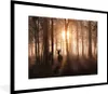 MuchoWow® Gerahmtes Poster Wald - Hirsche - Sonne - Bäume - Produktbild-Vorschau 1