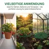 20 Stück Quadratisch Erdbeerreifer Gartenzubehör Produktbild-Vorschau 4