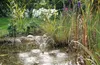 Pontec PondoSolar 150, Wasserspielpumpe Produktbild-Vorschau 5