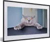 MuchoWow® MuchoWow® Gerahmtes Poster Katze - Angst - Stuhl Produktbild-Vorschau 1