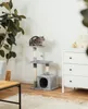lionto Arbre à chat, 85 cm Arbre à chat & de jeu compact Voir les images du produit 3