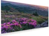 Glasbild 60x30cm in XXL für Wohnzimmer, Schlafzimmer Motiv Produktbild-Vorschau 1