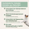 AniForte Arthro Omega Öl für Hunde 250 ml - Natürliches Produktbild-Vorschau 3
