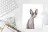 MuchoWow® Mauspad Mousepad Überrascht Sphynx auf einem Produktbild-Vorschau 5