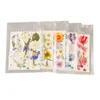 5er-Set Gepresste Blumen | Bunte Trockenblumen in Náhled obrázku produktu 6