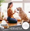 123... Hund dabei! - Kaurollen XXL 50er Tray Produktbild-Vorschau 2