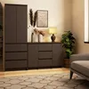 A modern living room setting with a dark gray cabinet and drawers, decorated with dried flowers and a table lamp. Anteprima dell’immagine prodotto