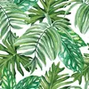 Coloray Fototapete 250x250 cm An Einer Wand Latex Produktbild-Vorschau 2