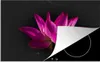KitchenYeah© Herdabdeckplatte Lotus - Rosa - Blume , Produktbild-Vorschau 1