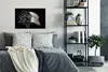 MuchoWow® Poster Vogel - Schnabel - Federn 90x60 cm - Produktbild-Vorschau 4