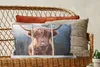 MuchoWow® Zierkissen Sofakissen Wohnzimmer Dekokissen 60x40 Produktbild-Vorschau 5