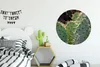 MuchoWow® Rundes Wandbild - Runde Bilder Botanischer Kaktus Produktbild-Vorschau 3